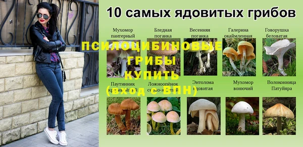 эйфоретик Баксан