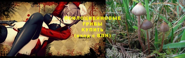 эйфоретик Баксан